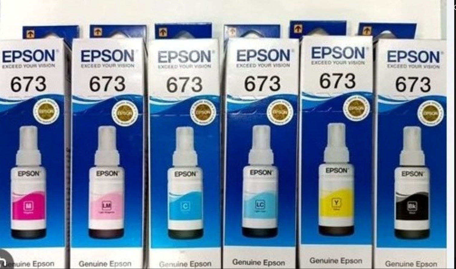 Epson orig673 LM